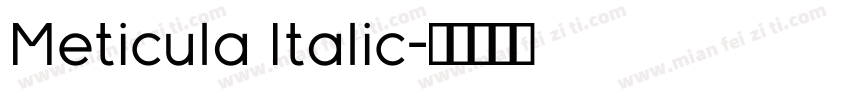 Meticula Italic字体转换